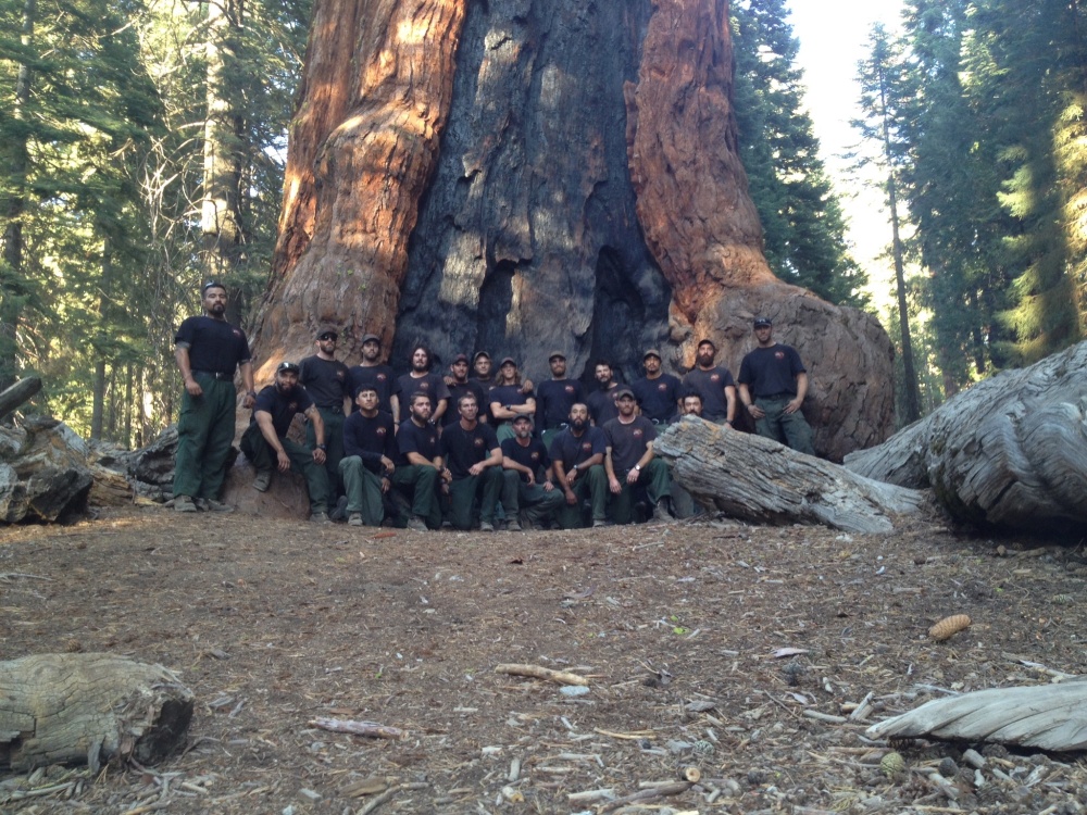 Crew Sequoia 